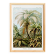 Poster about “tropical ferns”, based on an old lithograph