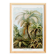 Poster about “tropical ferns”, based on an old lithograph