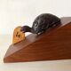 Greenhouse wooden books the hare and the tortoise
