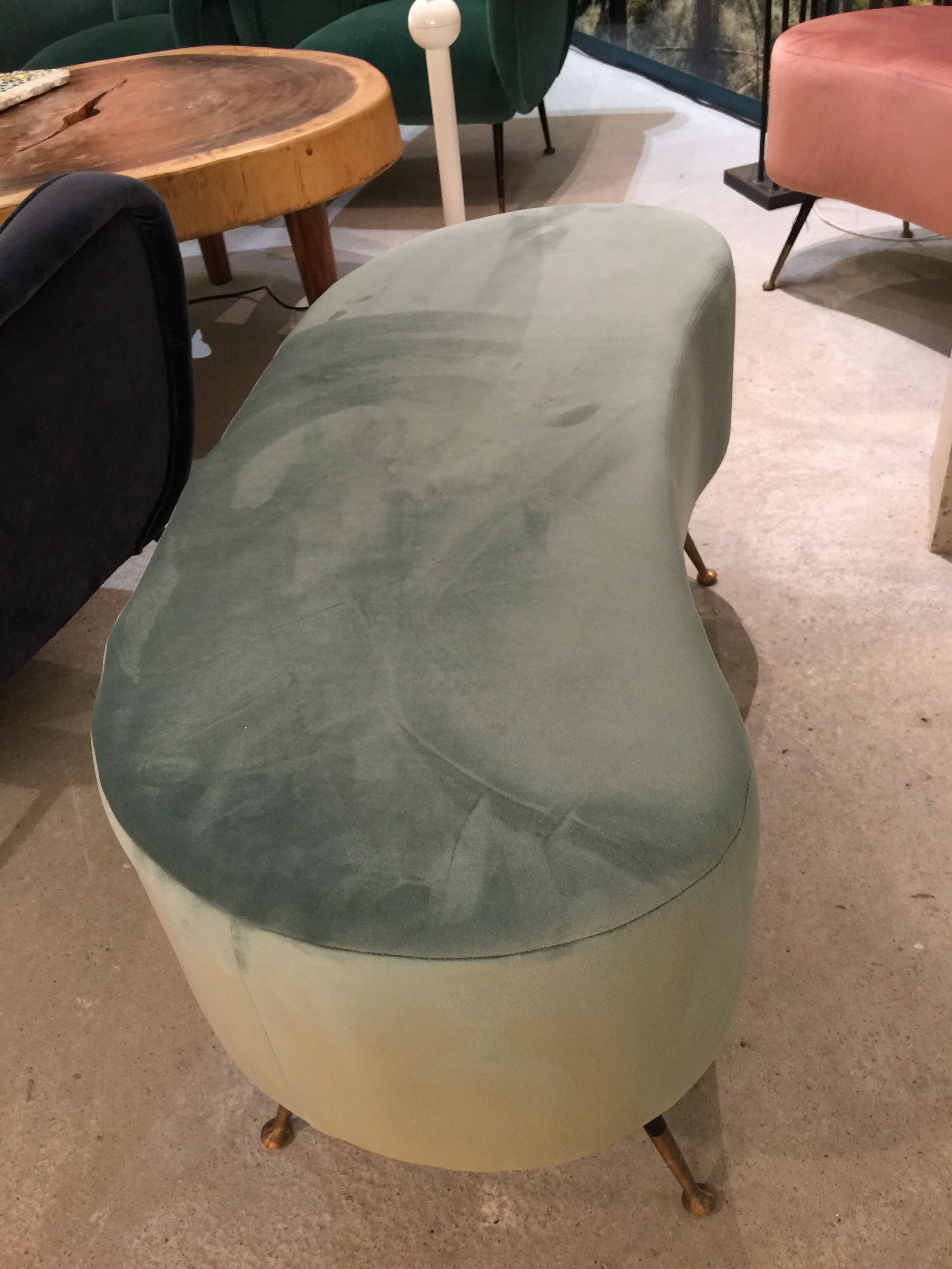 Bench in Velvet bean