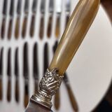 18 Wiskemann table knives in horn