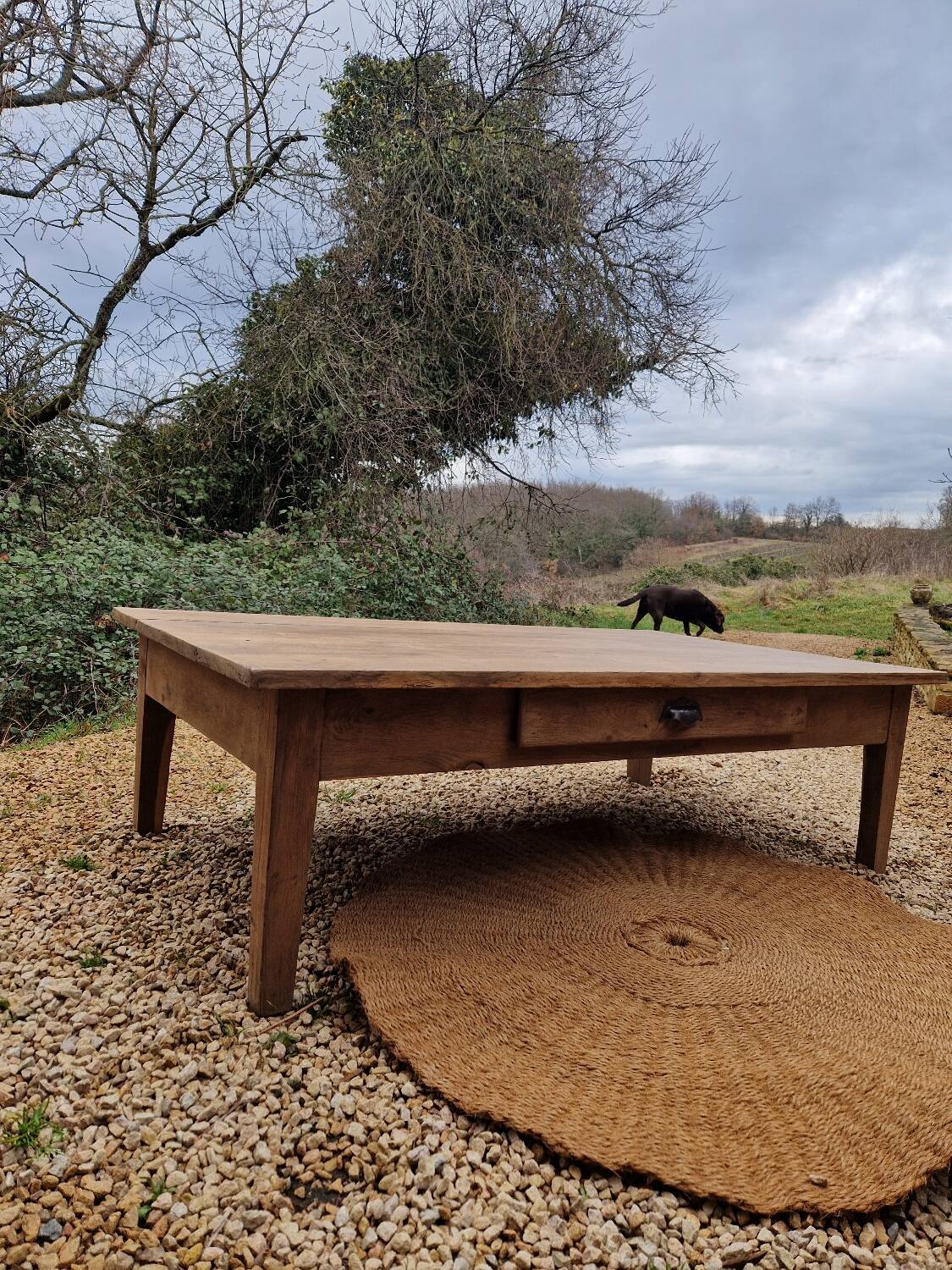 Table basse en chêne