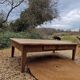Table basse en chêne