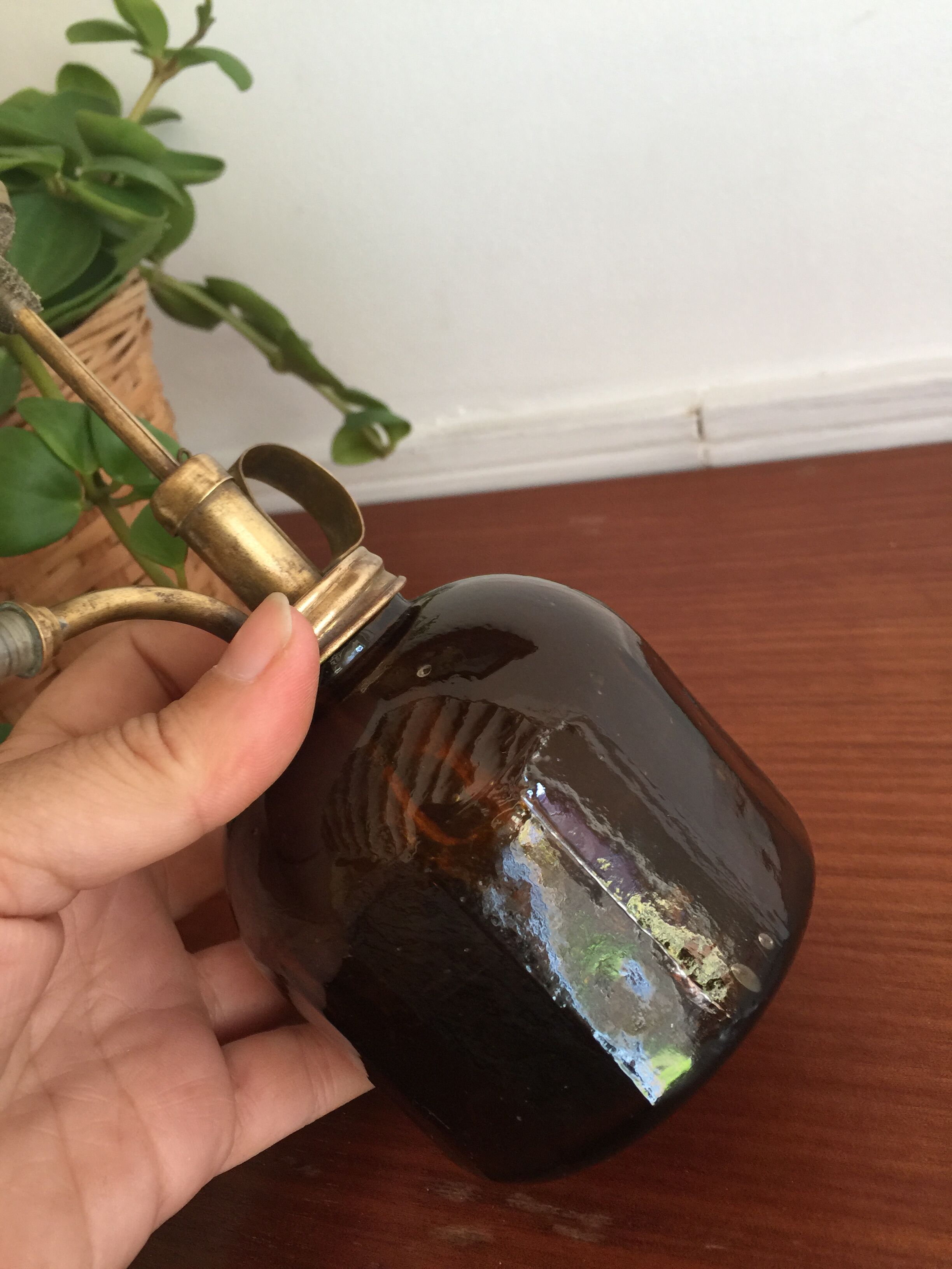 Brass plant and glass spray
