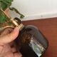 Brass plant and glass spray