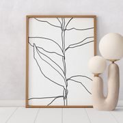 Botanical illustration black lines 50x70cm