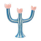 Tulip blue