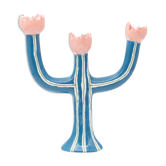 Tulip blue
