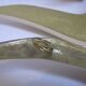 Wall Decoration Set 6 X Seagull / Swallow / Bird. Brass 70 / 80s