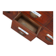 Grand Cabinet d'Apothicaire Antique en Pitch Pine, Belgique, avec Boucliers en Émail, 1900s