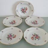 Set of 5 Limoges enameled porcelain plates