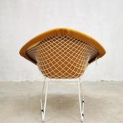 Diamond wire chair Harry Bertoia Knoll