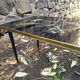 Vintage coffee table 50s - golden bird décor