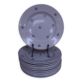 12 dessert plates, Floréal KG Lunéville model