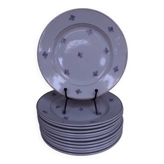12 dessert plates, Floréal KG Lunéville model