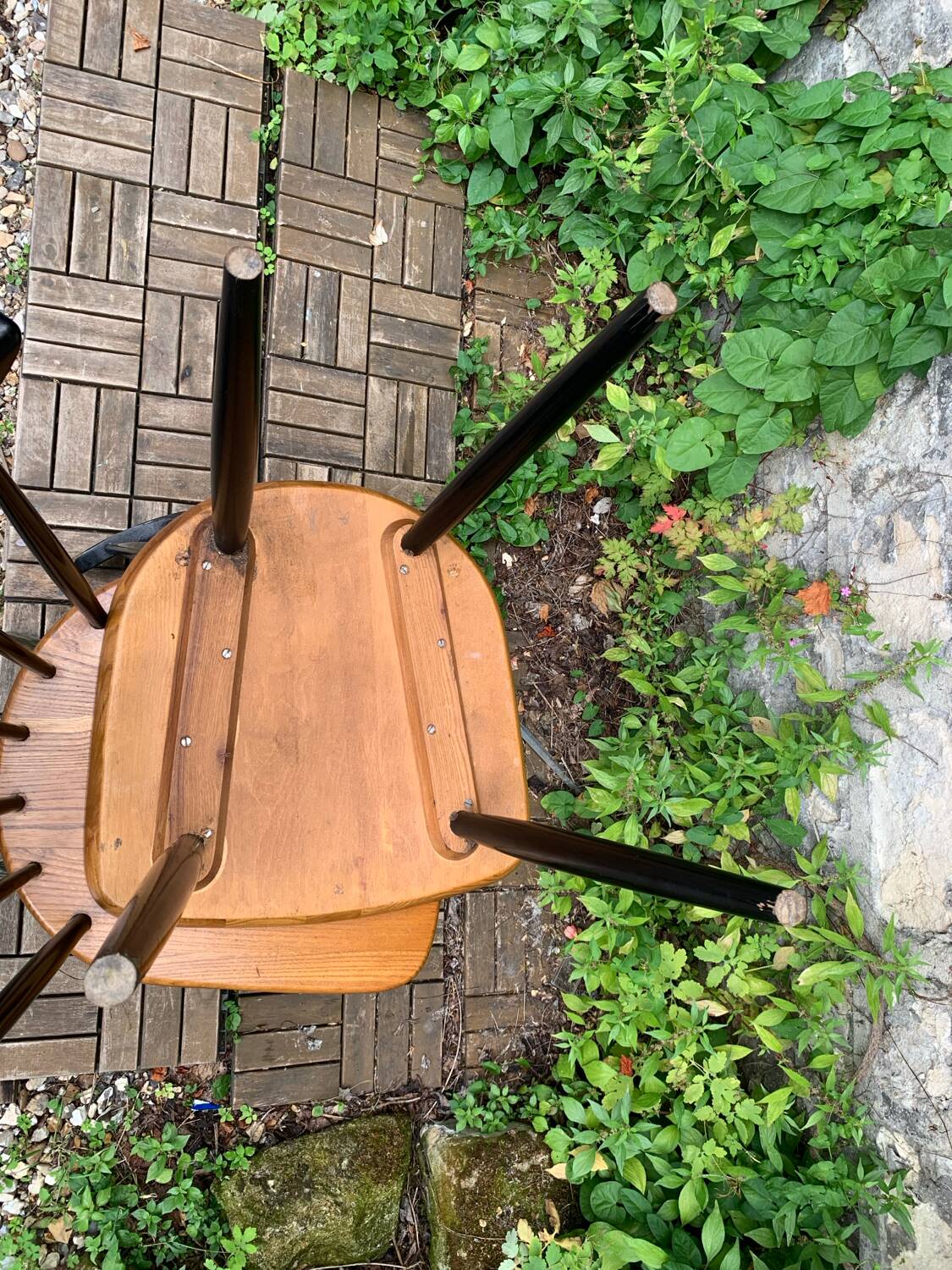 Pair of Scandinavian chairs 1950