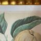 Botanical print, Langlois print, Royal Apple of England