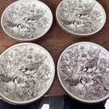 Pavesi plates