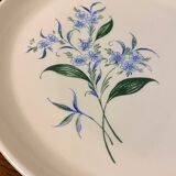 Set of 5 flat plates Sovirel