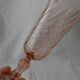 Set of 6 luminarc rosaline glass champagne flutes.