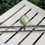 Vintage wall coat rack.