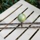 Vintage wall coat rack.