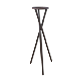 Support sculpture or tripod plants