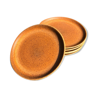 5 vintage sandstone plates