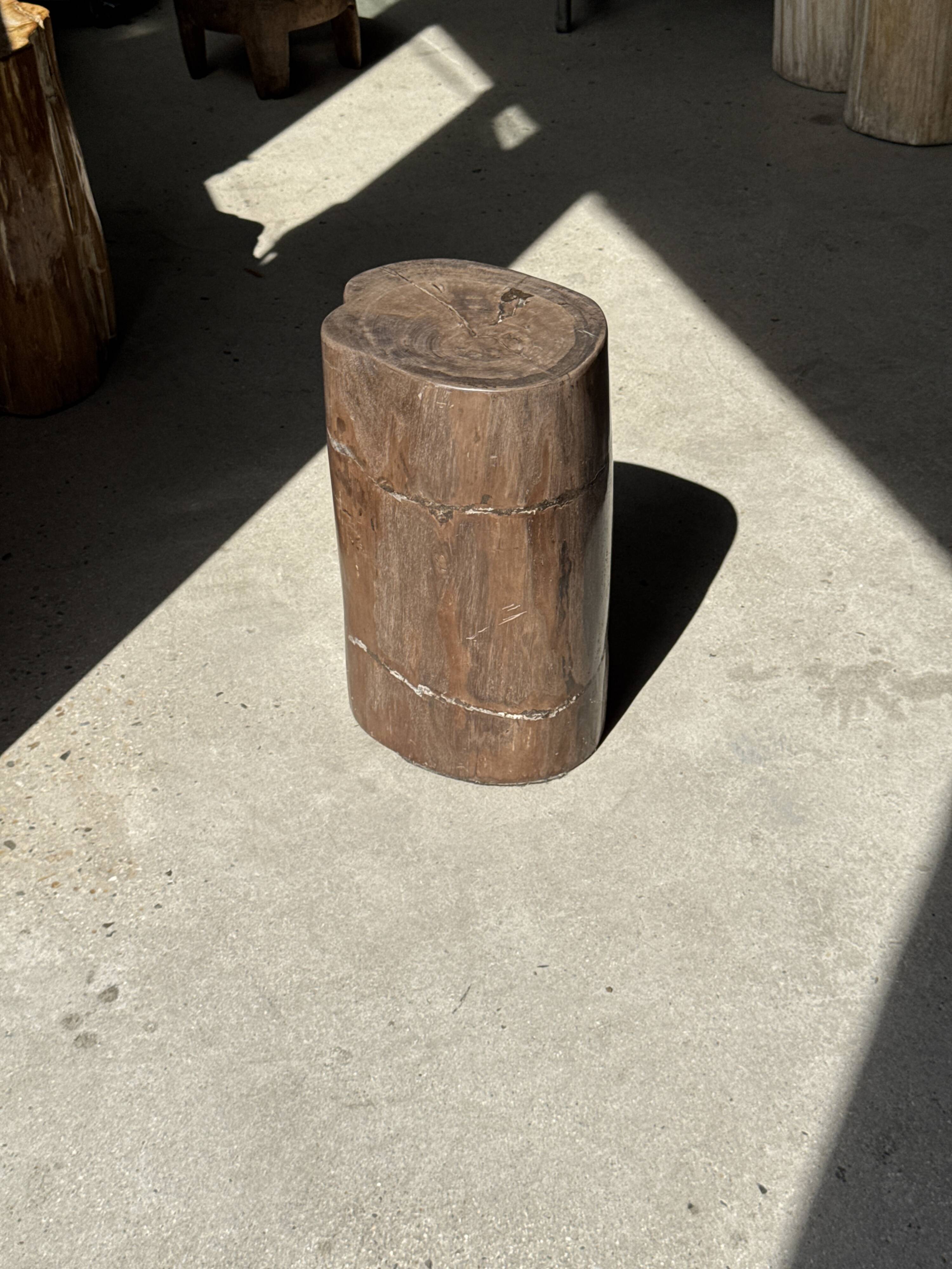 Table d'appoint en bois pétrifié brune H46 D29 - 3338