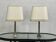 Paire de lampe en chrome et métal brossé