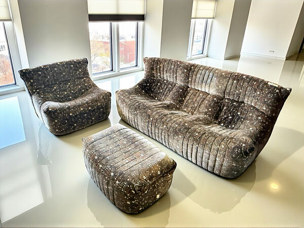 Salon complet ligne Roset Michel Ducaroy