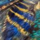 HST Painting Copyist V. Van Gogh "Starry Night" Arles