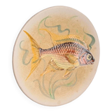 Decorative plate signed Vallauris handmade decor / fish / painting / 1950 / French riviera / Mid-Century / 20th century