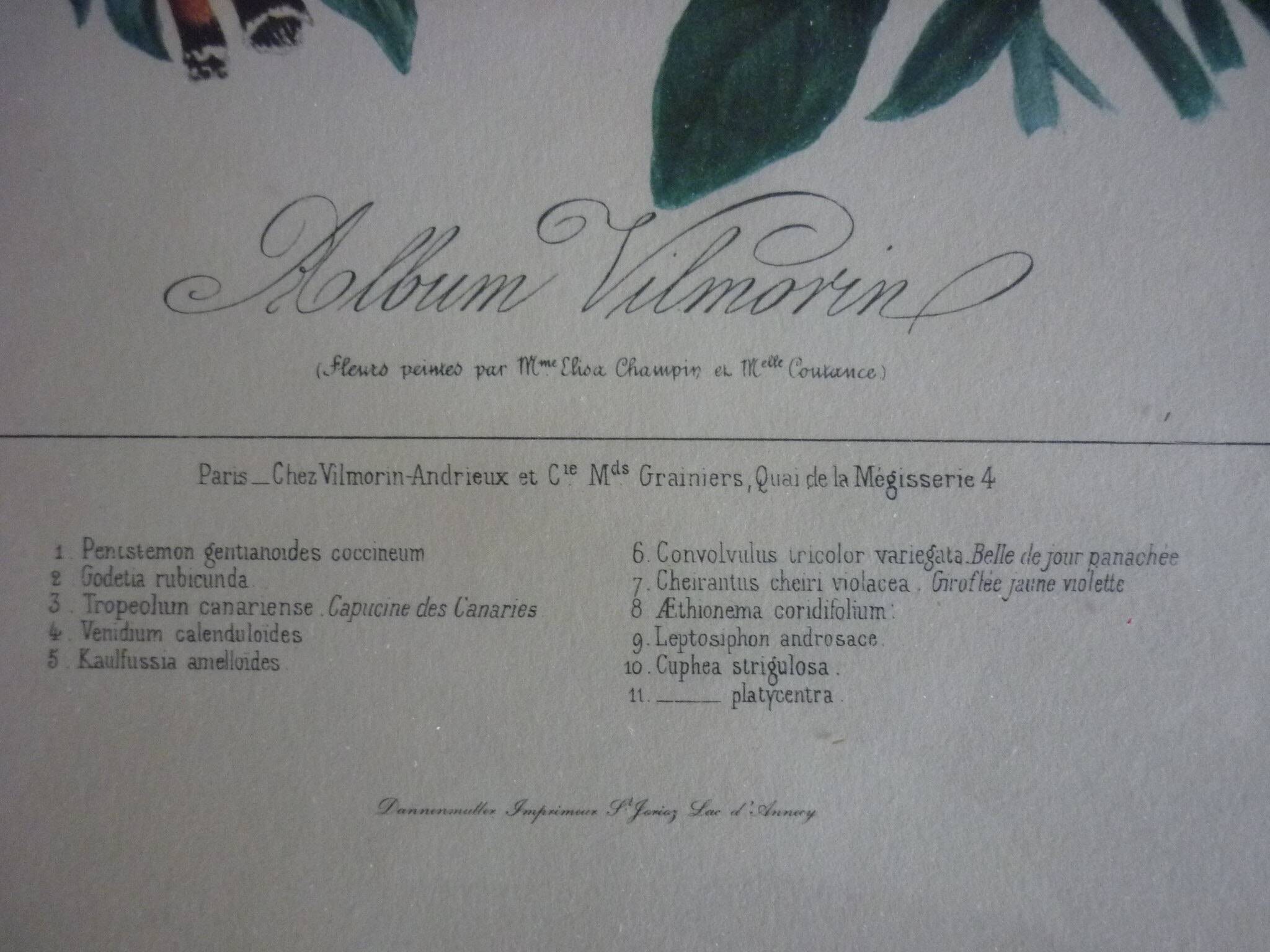 Framed Vilmorin lithograph, bouquet No 3, 1853, E. Champin