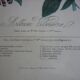 Framed Vilmorin lithograph, bouquet No 3, 1853, E. Champin