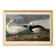 Poster about the Snow Goose, based on an old engraving from 1827.