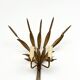 Pair of "Wheat Sheaf" Wall Lights