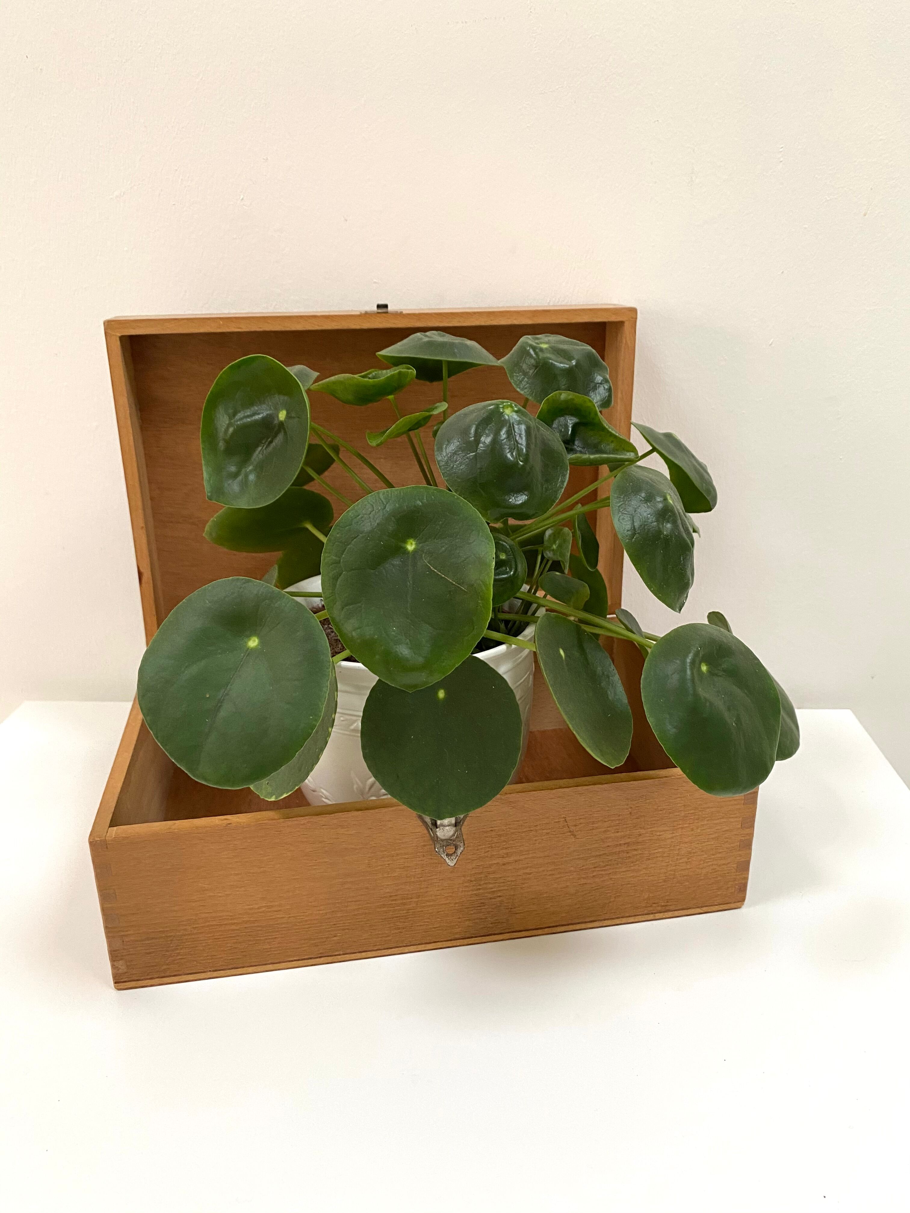 Old wooden box from the 70s