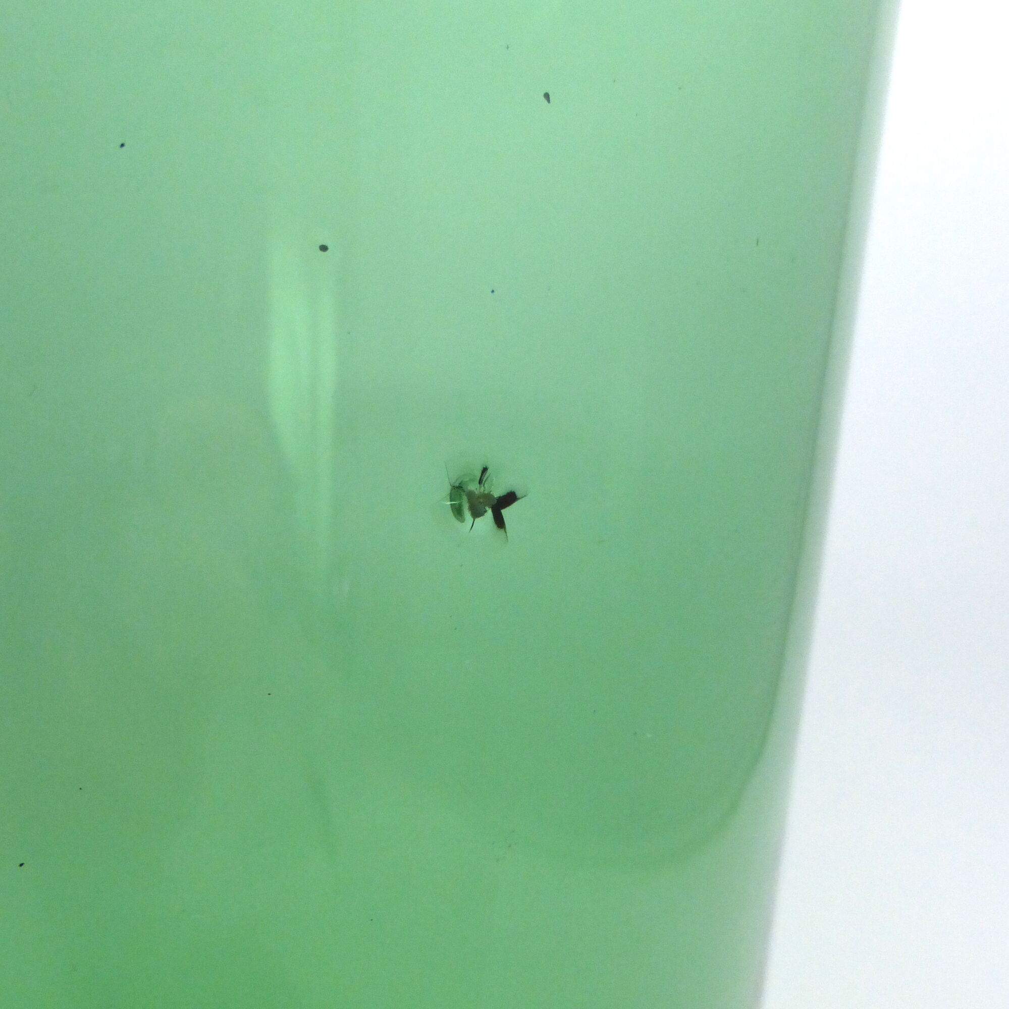 Vase de parquet en verre vert