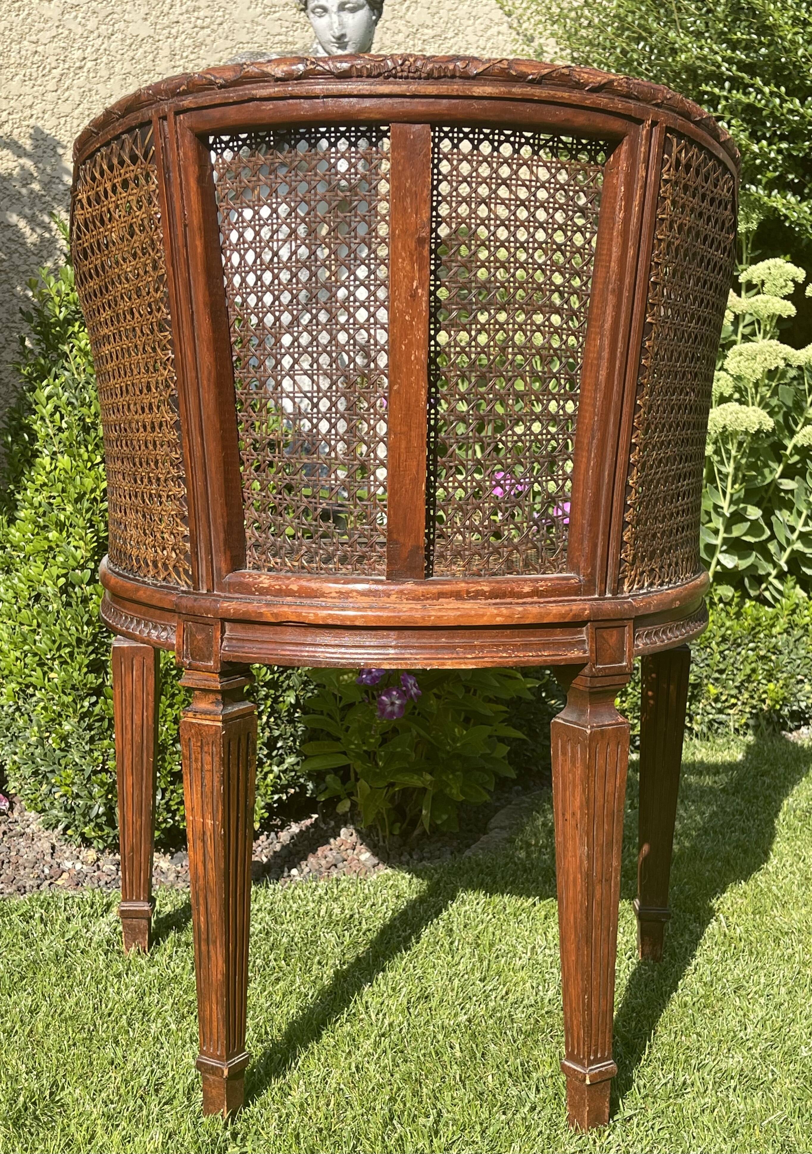 Armchair in Fruit Wood and Cannage Style Louis XVI