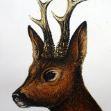 Watercolour lithography