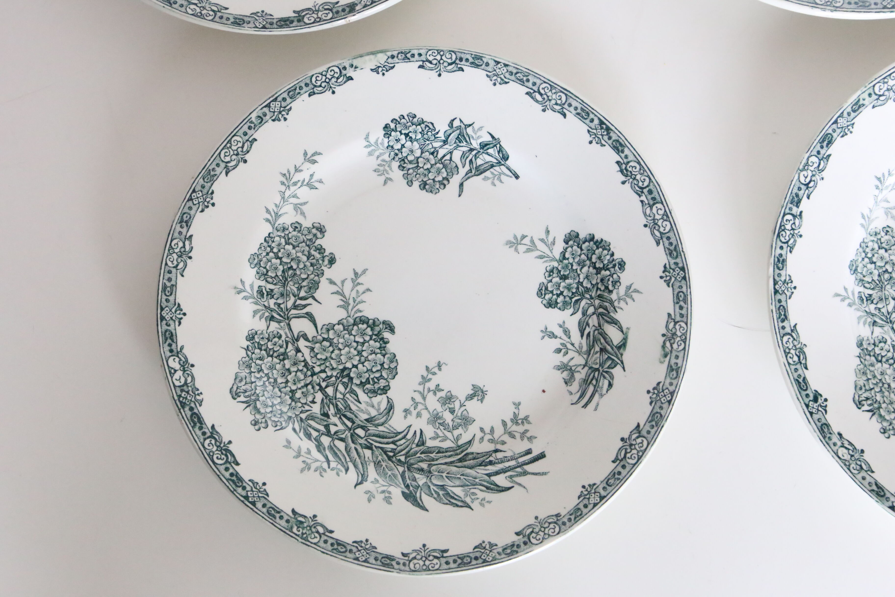 Set of 4 flat plates Terre de Fer, Saint Amand, Daisy