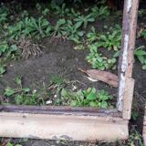 Industrial arched metal windows L73xH110 19th century glass roof