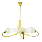 Vintage spider luminaire