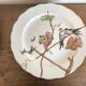 set de 12 assiettes polychrome 1850 ondulées Brownfield England oiseaux