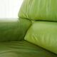 Fauteuil lounge en cuir vert