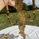 Magnificent 19th Century Louis XV Style Gilt Bronze Wall Candle Holder