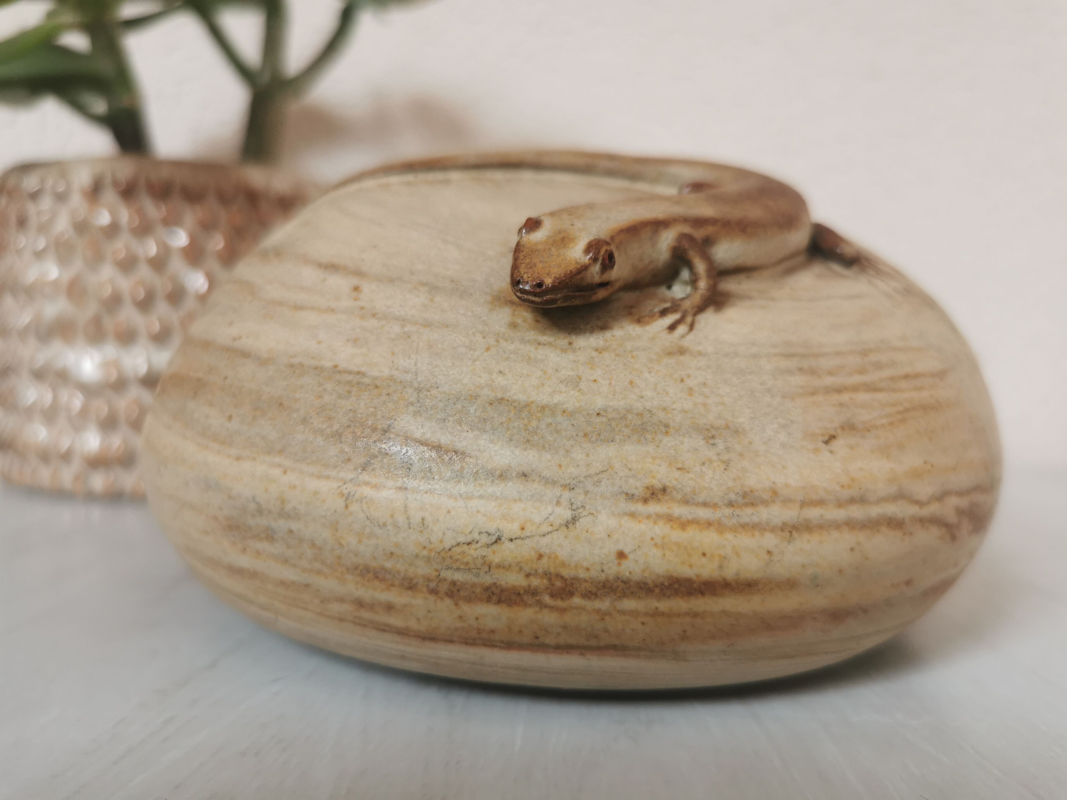 Pique flowers sandstone lizard