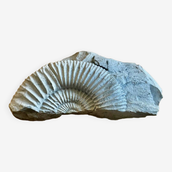 Fossile