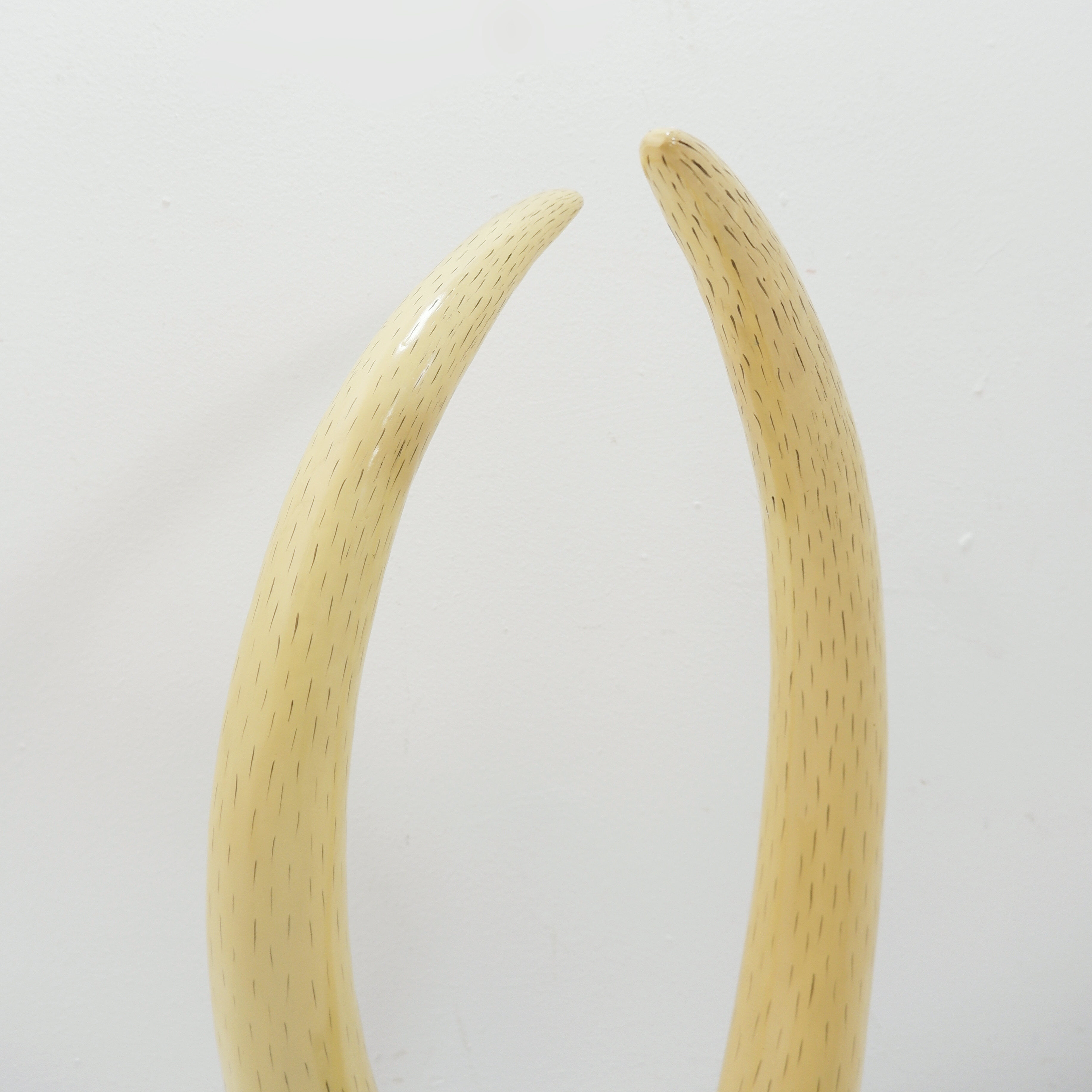 Pair of fake elephant tusks - 20th century H:82cm